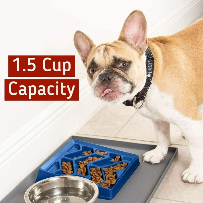 I Reviewed 9 Dog Bowls To Find The Best for French Bulldogs • Where's The  Frenchie?