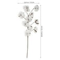 thumbnail image 2 of BRIGHTFUFU 10 cabezas de algodón seco tallos estilo de casa de campo de flores artificiales relleno decoración floral simulación flor diy decoración de la boda, 2 of 8