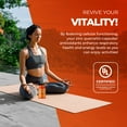 thumbnail image 2 of Mt. Angel Vitamins - Zinc Quercetin with Bromelain Supplement – Immune Support & Respiratory Health - Quercetin 500mg Capsules | Zinc 50mg | Vitamin C Capsules - 300 capsul, 2 of 8