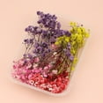 thumbnail image 2 of Visland 1 Box Real Mix Dried Flowers for Resin Jewellery Dry Plants Pressed Flowers Making Craft DIY Accessories, 2 of 7