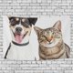 thumbnail image 1 of Tapiz ABPHQTO Gato y Perro Decoración Colgante de Pared 100x150 cm, 1 of 4