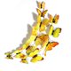 thumbnail image 2 of Advancent 12 unids/set 3D mariposa pared pegatina sala de estar dormitorio adhesivo 3D papel de pared PVC calcomanía decoración del hogar Decoración del hogar amarillo Advancent HA002018-05, 2 of 6