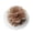 Y, variant on Chic Decorative Hair Clips for Women - Elegant and Trendy Accessories for Every Occasion