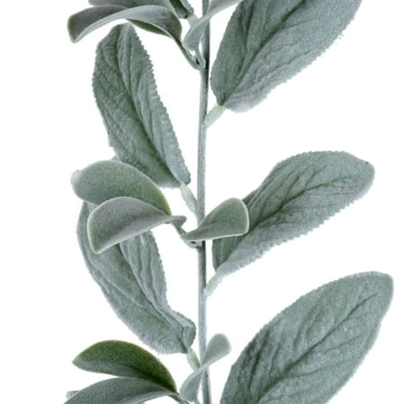 UPC: 0191518186239 | 6ft. Lamb s Ear Garland by Ashland®
