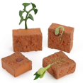 thumbnail image 4 of Simulation Life Cycle Of A Green Bean Plant Growth Cycle Model Action Figures Collection Science Educational Toys For Children, 4 of 4