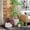 Beige, variant on Safavieh Sara Round Beige Fiber Clay Plant Pots - Set of 3