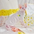 thumbnail image 5 of Vêtements pour Chat Sans Poils Style Ananas Printemps Été Mode Sphinx Chaton Port Confort Sphynx Tenues pour Chat, 5 of 5