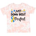 thumbnail image 3 of Inktastic Just Down Right Perfect Down Syndrome Awareness Ribbon Boys or Girls Toddler T-Shirt, 3 of 5