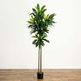 thumbnail image 5 of Nearly Natural 7ft. Artificial Dracaena Tree with Real Touch Leaves, 5 of 5