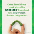 thumbnail image 5 of GREENIES Original TEENIE Natural Dental Care Dog Treats, 6 oz. Pack (22 Treats), 5 of 13