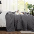 Queen Quilt Bedding Set Soft Ultrasonic Full/Queen Quilt Set