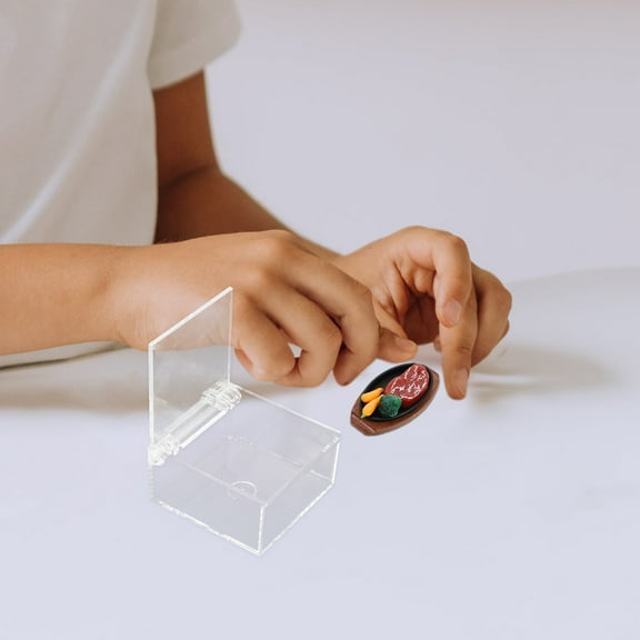 FRCOLOR Clear Acrylic Box with Lid Transparent Mini Display Case for Small Items Jewelry Collectibles Multi-Purpose Square Container for Home or Office Use