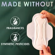L. Ultra Thin Pads, Organic Cotton Top Layer, Extra Long Overnight, 20 Count