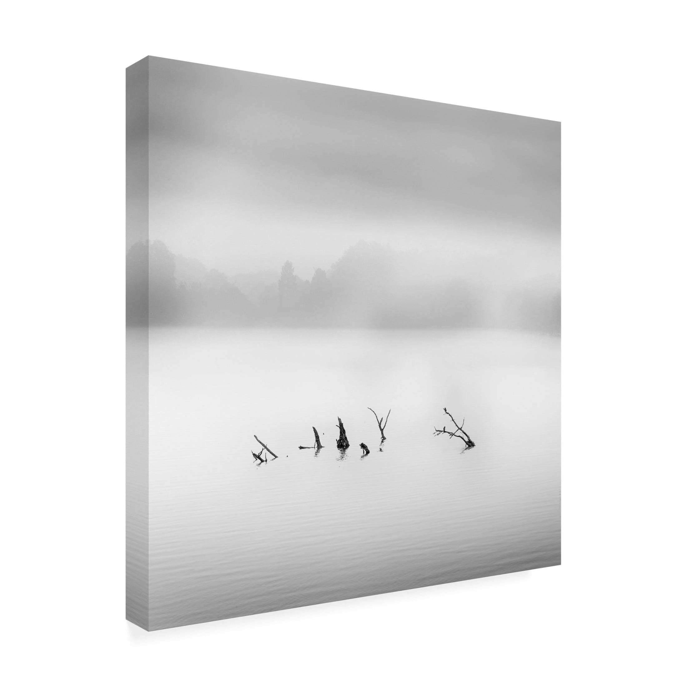 Canvas Wall Art - George Digalakis 'Waterland' Wall Art for Living Room, Bedroom, or Office D?cor by Trademark Fine Art - 35 x 35 Inches