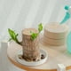 thumbnail image 4 of Bandeja de cerámica para plantas blanca | Plato de platillo redondo para decoración de escritorio, exhibición de oficina lavable duradera, acento moderno para el hogar, compatible con ollas, pieza, 4 of 8