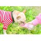 thumbnail image 2 of Botella de agua para perros, dispensador de agua portátil a prueba de fugas con alimentador para mascotas, caminar al aire libre, senderismo, viajes JM, 2 of 6