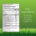 thumbnail image 2 of Irwin Naturals Immuno-Shield All Season Wellness – 60 Liquid Soft-Gels – Echinacea + Zinc + Elderberry Defense, 2 of 8
