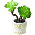 thumbnail image 1 of Coofit Artificial Succulent Decorative Lifelike Simulated Potted Plant Potted Succulent, 1 of 7