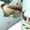 2 Black-1, variant on Duck Animals Farm Print Adult Socks for Men & Women,Calf Socks, Ankle Socks,Boots Socks,Breathable Casual Sock,Unisex Crew Socks