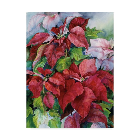Trademark Fine Art 'Poinsettia' Canvas Art by Joanne Porter