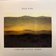 thumbnail image 1 of WILD PINK A BILLION LITTLE(INDIE LP), 1 of 1