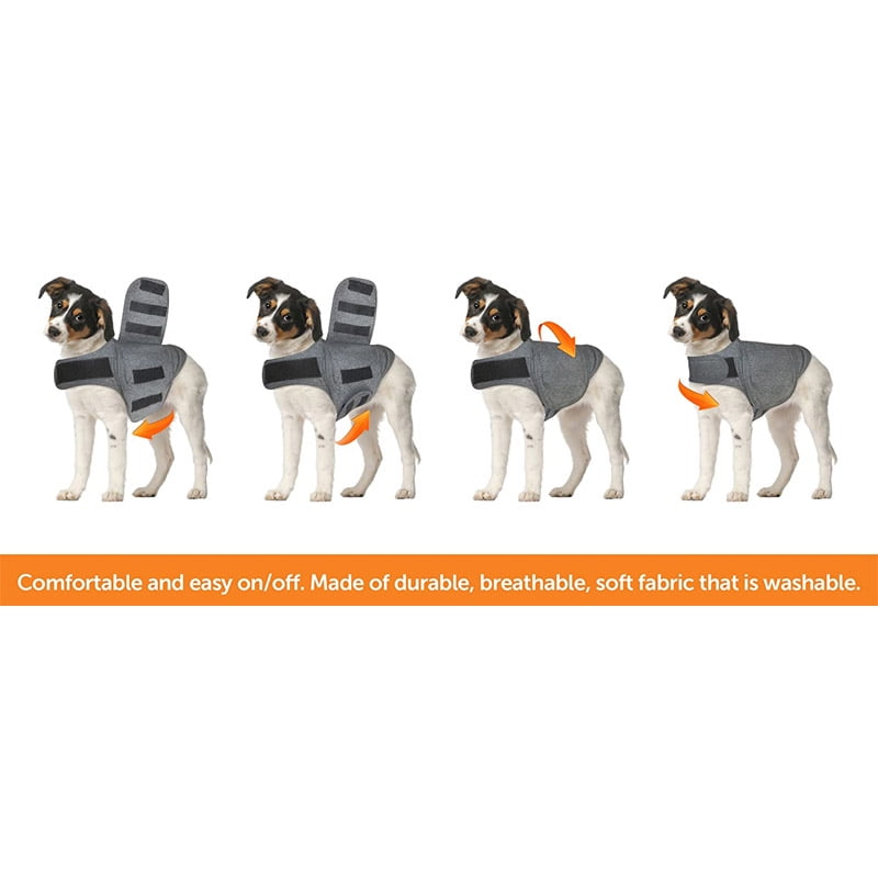 Manteau anti stress pour chien sale