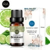 Rainbow Abby Essential Oil - 100% Pure Natural Therapeutic-Grade Aromatherapy Essential Oil Diffuser 10mL/0.33oz