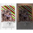 thumbnail image 2 of Carolines Treasures LH9219CNL Newfoundland Candy Cane Holiday Christmas Ceramic Night Light, 2 of 2