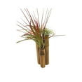 thumbnail image 5 of Bamboo Tillandsia Garden Mounted and Planted Moss, Air Plant Decoration, 5 of 6