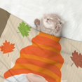 thumbnail image 2 of Naloa Hello Fall Gnomes 1 Dog Blanket, 3 Sizes Cat Blanket for Indoor Cats Large Medium Small Dog Gifts-Medium, 2 of 8