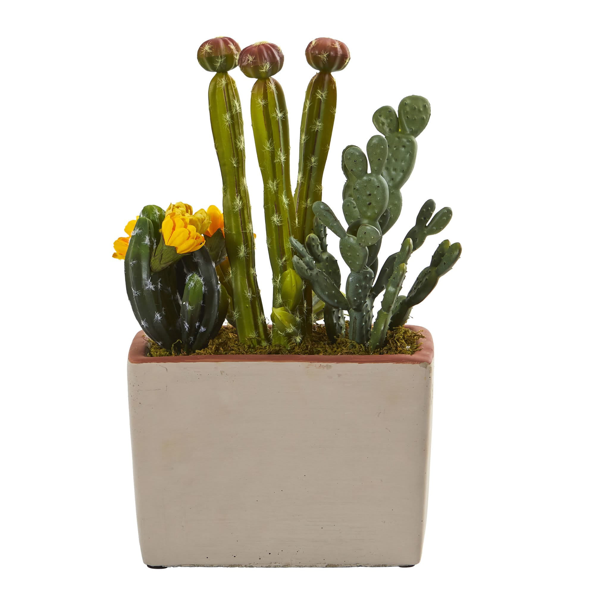 Small artificial cactus plants