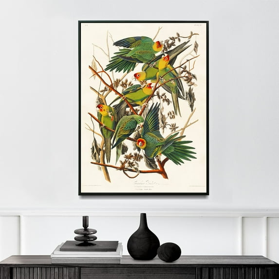 Carolina Parrot - 1827 | John James Audubon | Premium Fine Art Print | 19th Century American | Naturalism | Botanical | Plant Art | Nature Art
