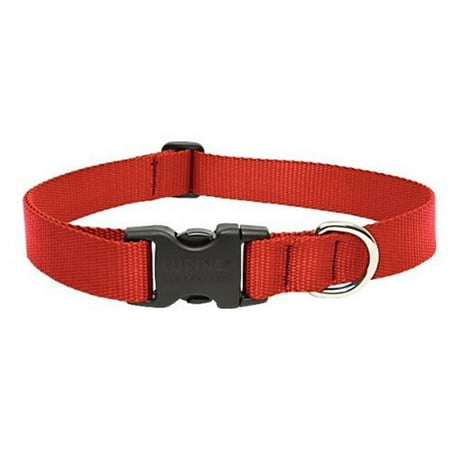 UPC: 0746889225539 | LupinePet Basic Solids Red Red Nylon Dog Adjustable Collar