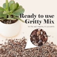 thumbnail image 2 of Bonsai Jack Succulent and Cactus Soil, 1 Gallon, 2 of 6