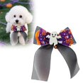 thumbnail image 2 of Durable Halloween Pet Collar for Dogs and Cats - Chew- Polyester Accessory for Festive Indoor Outdoor Use, 2 of 5