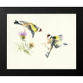thumbnail image 2 of Mayes, Hilary 24x20 Black Modern Framed Museum Art Print Titled - Goldfinches, 2 of 5