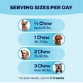 thumbnail image 4 of Ready Pet Go! Healthy Dog Chews 12-In-1 Complete Multivitamin for Dogs, Bacon, Liver & Cheese, 60 Pc, 4 of 9