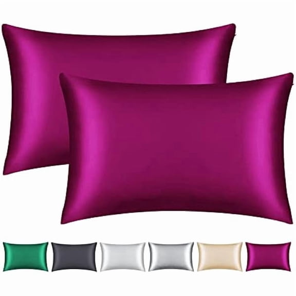 Eryueer - Pack of 2 100% Mulberry Silk Pillowcases, Great for Hair and Skin with Hidden Zipper, 22 Momme Natural Silk Pillow Case on Both Sides, Soft, Breathable and