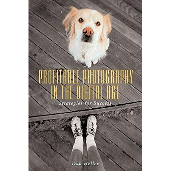 Profitable Photography in Digital Age : Strategies for Success (Paperback)