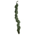thumbnail image 2 of Vickerman 5' Artificial Green Magnolia Leaf Garland., 2 of 7