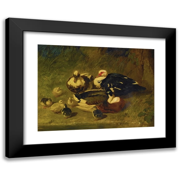 John Frederick Herring Snr. 14x11 Black Modern Framed Museum Art Print Titled - Muscovy Ducks and Ducklings (1851)