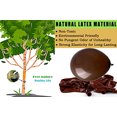 thumbnail image 1 of Party Ulyja Brown Globos 50 Pack Bulk 12 Pulgadas Perlado Biodegradables Globos de Látex p PARTY ULYJA PARTY ULYJA, 1 of 2