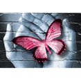 thumbnail image 1 of Pintura de diamante (DB6823) 5D DIY Mano Sostener Mariposa Kit de imagen redonda completa Arte de pared 45x60cm FLhrweasw Nuevo, 1 of 1