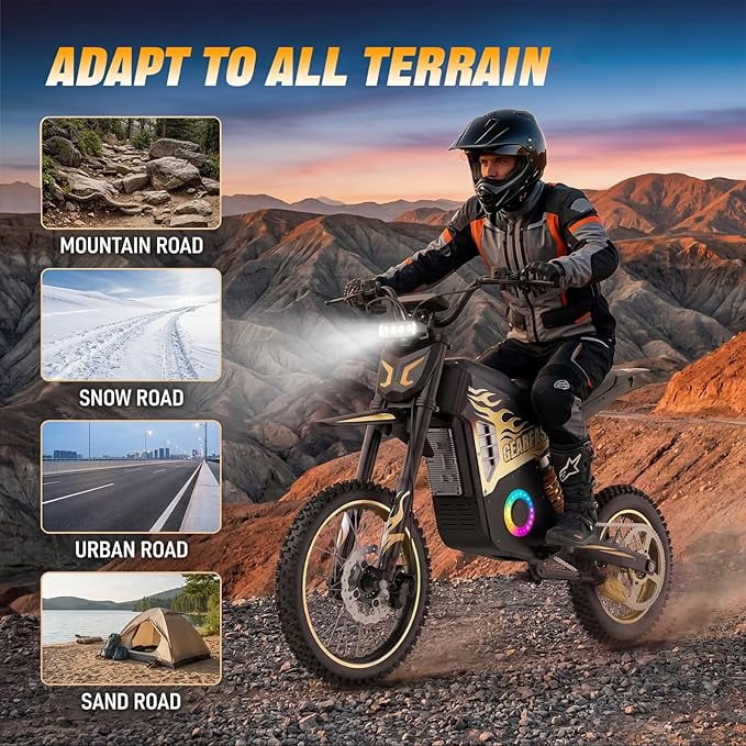 Electric Dirt Bike for Adults & Teens, 3550W, 41MPH, Up to 60 Miles Range, 48V/22AH Removable Battery, Hydraulic Brakes, 14"/12" Fat Tire Off-Road E-Dirt Bike for Age 13+, Gold