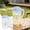 Blue, variant on Plastic Water Pitcher,Orchid Pattern Clear Jug With Lid Large Capacity Cold Drink Container for Lemonade,Iced Tea,Milk And Beverage,6.69x8.86 Inch,Green