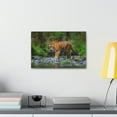 thumbnail image 3 of Tiger Hunting Tiger on Hunt Print Animal Wall Art Wildlife Canvas Prints Wall Art Ready to Hang Unframed, 3 of 18