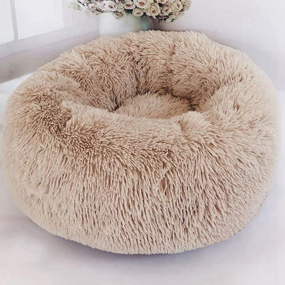 boy cat beds
