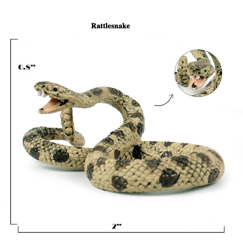 Rattlesnake Eggs a joke wound up in the envelope when opened Rattlesnake sounds 
