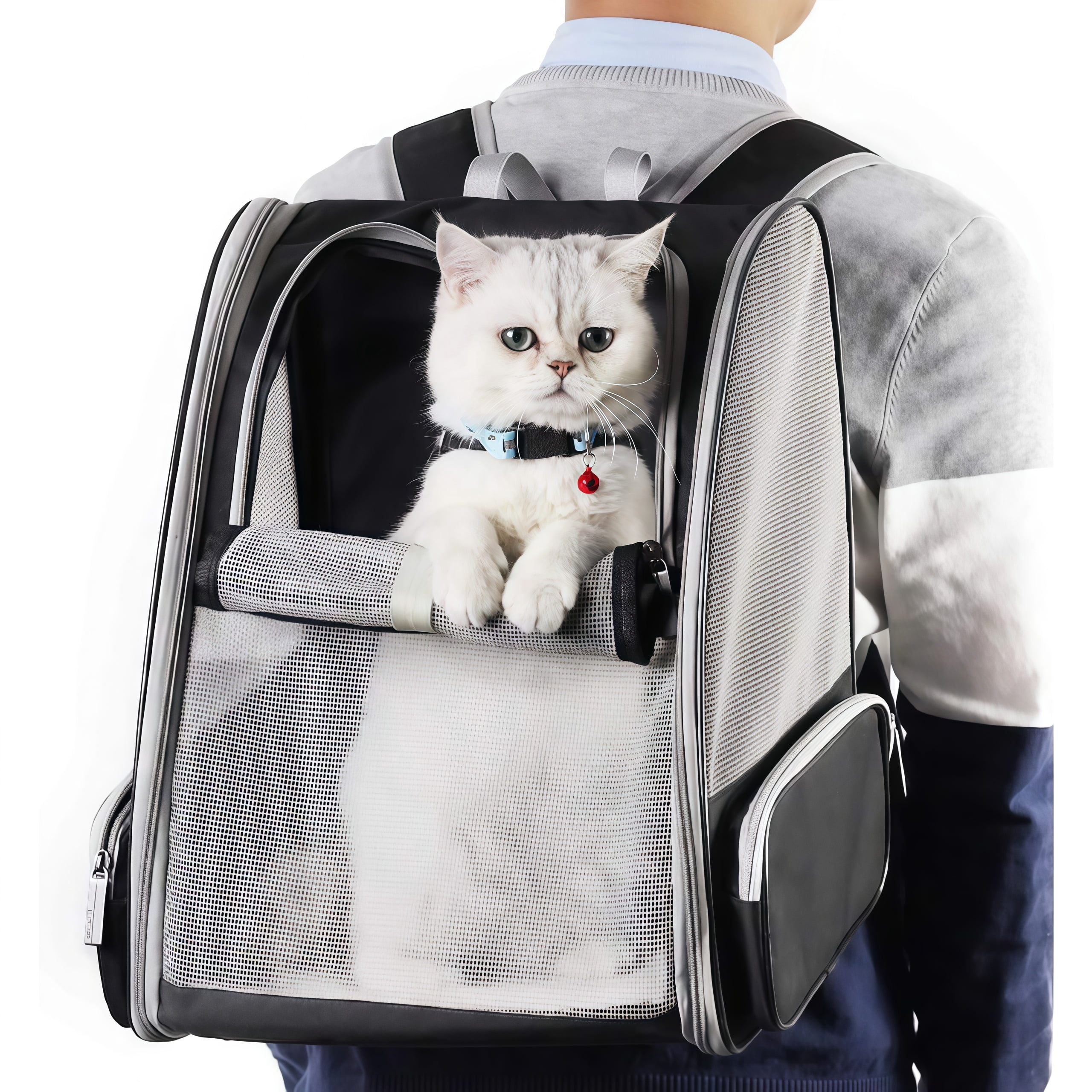 Portable Cat Backpack with Large Capacity and Breathable Mesh Design