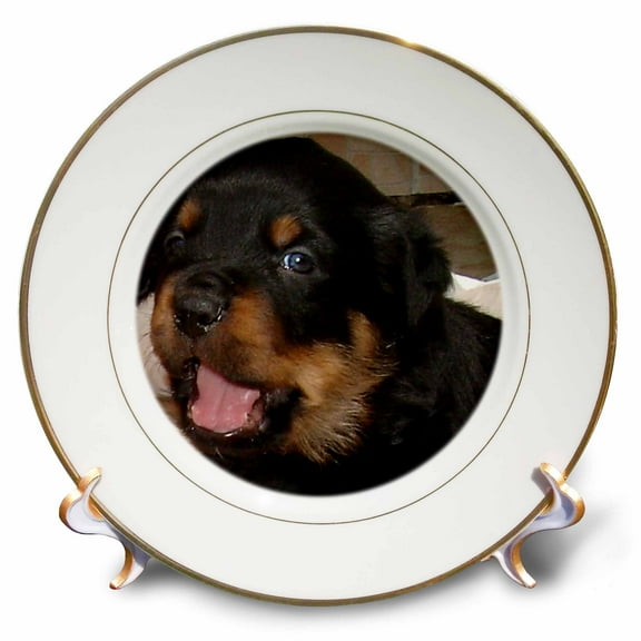 3dRose, A photograph of a baby rottweiler with a cheeky and fun expression , 8 inch Porcelain Plate